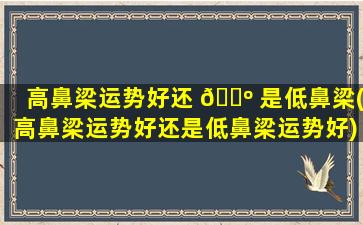 高鼻梁运势好还 🌺 是低鼻梁(高鼻梁运势好还是低鼻梁运势好)